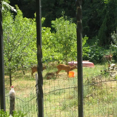 Ana Nocleg ze śniadaniem