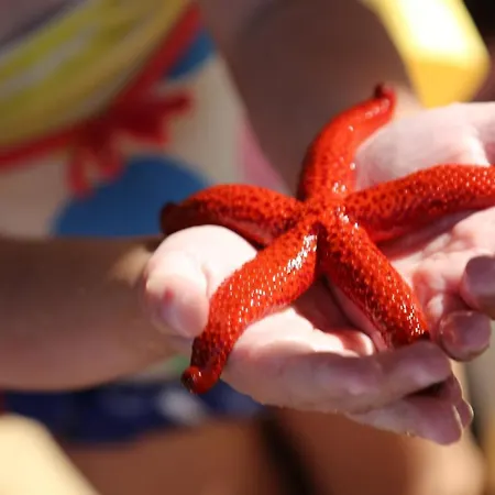 Ana Nocleg ze śniadaniem