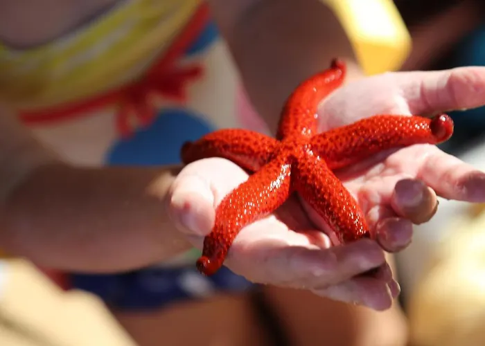 Ana 住宿加早餐酒店